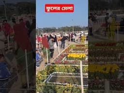 flower festival. ফুল। ফুল বাগান। dc park. #dcpark