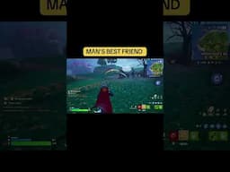 Man’s Best Friend #gaming #fortnite #superman