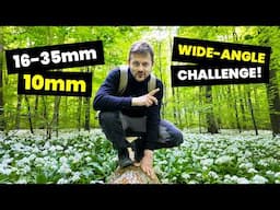 Wide-Angle Forest Photography Challenge