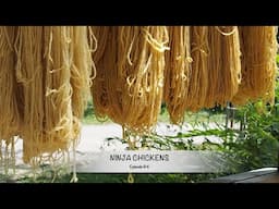 A Crafty Visit with a bit of time in the Garden - Ninja Chickens Episode 84