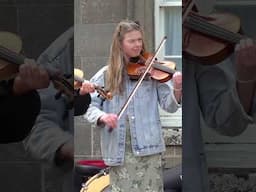 Arc Fiddlers play the Gathering on #violins at 2025 #gordoncastle Scotland #scottishmusic #shorts