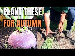 Leeks & Swede – What to Plant Now for Autumn Harvests