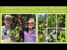 Ten interesting and unusual fruits at Rayner's Orchard! part 1!