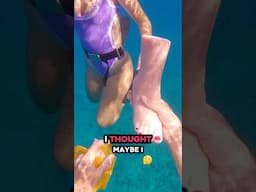 Bro spent $200 on fake feet