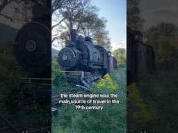 Abandoned Trains! #abandonedexplorer #train #abandonedexplore #railroad