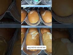 Lò nướng bánh mì chuẩn công nghiệp – nhiệt tỏa đều, bánh nở đẹp, vàng giòn#dienmaybigstar #banhmi