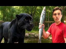 FEEDING My JAGUAR a WHOLE FISH — He Went CRAZY!