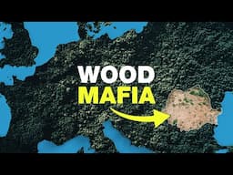 Europe's Stolen Forests