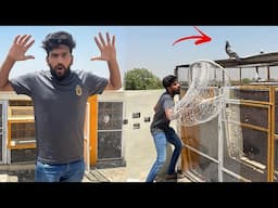 Aaj kisi ka 2 din se Rulta hua racer kabutar paker liya 😮😱