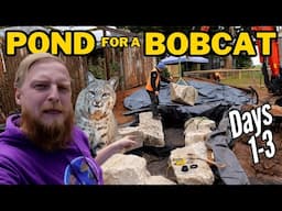 We built a Zoo Pond for a rescued Lynx in a week! (Days 1-3)