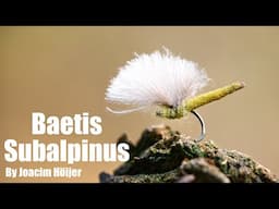 Baetis Subalpinus by Joacim Höijer