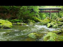4k Mountain River Flow Under Roofed Bridge | Soothing Water Sounds for Sleep & Relaxation (No Birds)