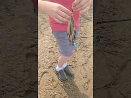 got the cops called on us for catching to many fish! #fishing #shorts #fish #subscribe