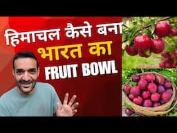 Fruit bowl of India || Largest stone fruits Producer of India || Himachal Pradesh