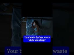 What REALLY Happens when you Sleep?