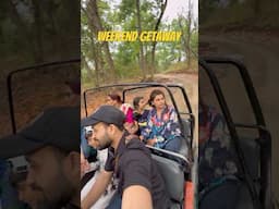 Jeep safari, jungle vibes & wild memories at Jim Corbett   #familytime #jimcorbett #safari