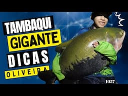 OS TAMBAS GIGANTES DO OLIVEIRA SEMPRE APARECEM - Fishingtur na TV 1057
