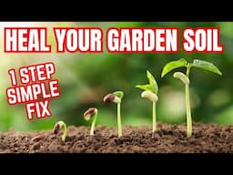 Fighting Poor Soil? Try This SIMPLE Fix!
