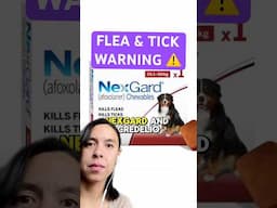 See comments for disclosure‼️ #dogmom #fleas #tick #doghealth #remix @VeterinarySecrets