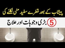 Peshab Ka Sath White Discharge Hona - Urine Dribbling After Urination