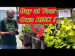 Garden Nursery TRIP Shopping for Deals on Watermelon ￼Cucumber Tomatoes Native Milkweed & Flowers