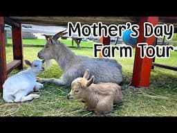 Mother's Day Animal Farm Tour and Feeding