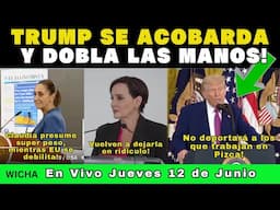 TRUMP SE ACOBARDA Y DOBLA LAS MANOS!