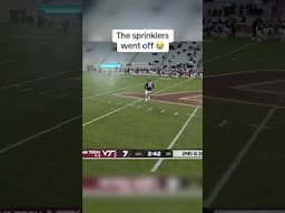 The players were loving it 😂