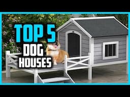 ✅Top 5 Best Dog Houses in 2025