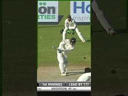 PCB Archive - Rahat Ali's Pace Attack Against Kiwis | PAK vs NZ 3rd Test, 2014 #Shorts M2C2A