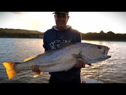 Another EPIC Day Fishing for RIVER MONSTERS