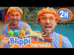 Blippi Brinca de Afunda ou Flutua com Brinquedos! | 2 HORAS DO BLIPPI BRASIL! | Vídeos Educativos