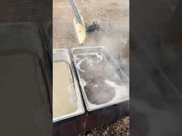 Last boil of the season. video coming soon.