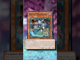 STAR RYZEAL & MALISS MARCH HARE - One Minute Overview