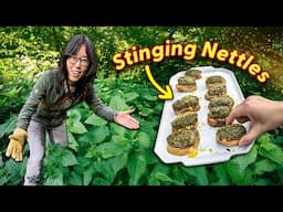 I foraged and ate STINGING NETTLES! 🔥 Here's What Happened… WILD EDIBLES TOUR