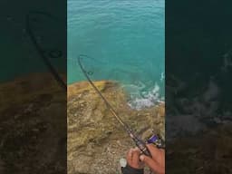 THE Chum Effect: Catch Fish Faster Than Ever – Instant Results!