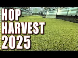 Hop Harvest Fest 2025 - Hop Symposium - Beechworth #hops #beerbrewing @bridgeroadbrewers