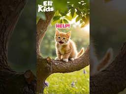 Cat Rescue - Baby Bear - Eli Kids - Helping Animal Friends