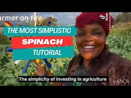 Basics of spinach, kale & tomatoes farming