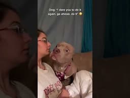 people INTENTIONALLY PRANKING their dogs... #pets #funnyanimals #animallover #funnypets