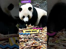 🦧🐙🐸 5 Cutest Animals That Are Secretly Dangerous  #naturefacts #shortvideo