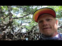 3:9 Back to work, Iguana, SV Delos, Power Outage, look at Catamaran
