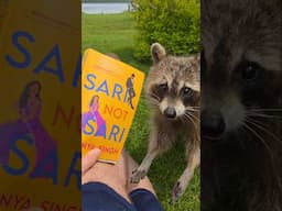 Do Trash Pandas Like Romantic Comedies?  #SariNotSari