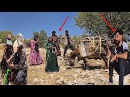 Zahra's nomadic family's efforts to collect firewood in the dangerous mountains