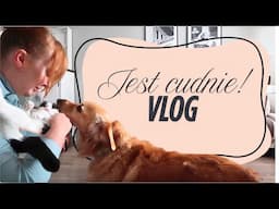 OTOCZONA KREATYWNYMI LUDŹMI I CUDOWNYMI ZWIERZAKAMI 😍🌸 VLOG