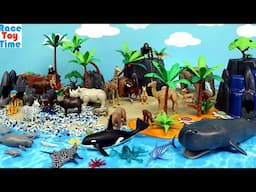 Island Diorama and Playmobil Safari and Sea Animal Figurines