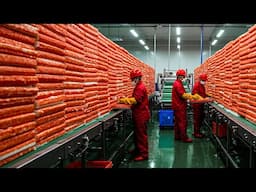 Harvesting Millions Tons Of Crab Sticks, Fish Cakes, And Sea Grapes In Japan – Process Crab Sticks