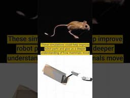 Robotics takes inspiration from mammal tails for midair maneuvers.