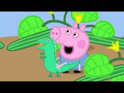 Mummy Pig at Work | Peppa Pig Full Episodes | Kids Videos
