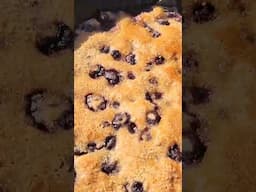 Blackberry cobbler with FMF! A classic summer time quick dessert with vanilla ice cream on top!